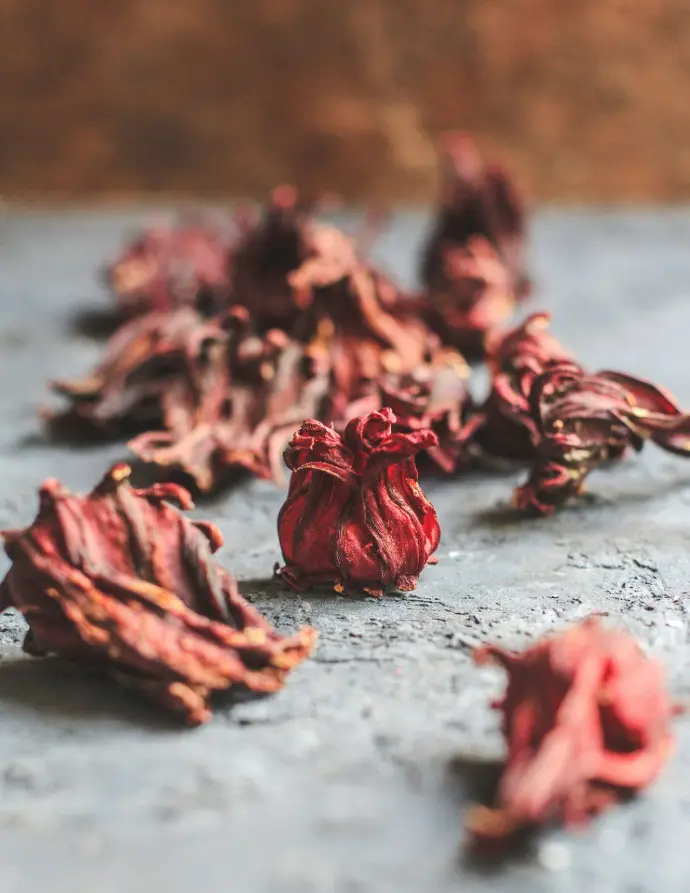 red dried leaves on gray concrete floor